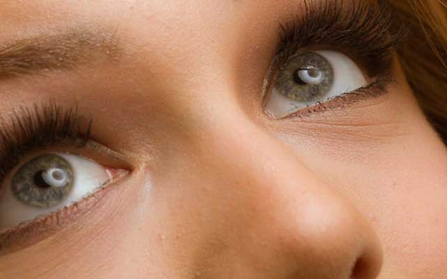 Eyelash Portfolios